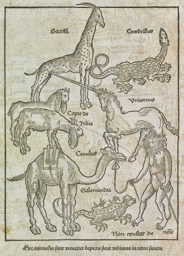 Alguns monstros medievais eram animais que existiam no mundo real, porém ganhavam interpretações e traços artísticos, dando a impressão de que eram monstros.