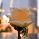 World Trade Center Memorial - Foto: Italo Magno Jau
